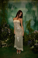 Abito Maxi in Paillettes Morbide