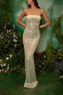 Abito Maxi in Paillettes Morbide